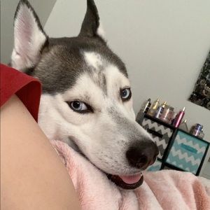 Meet your Posher, Whitney